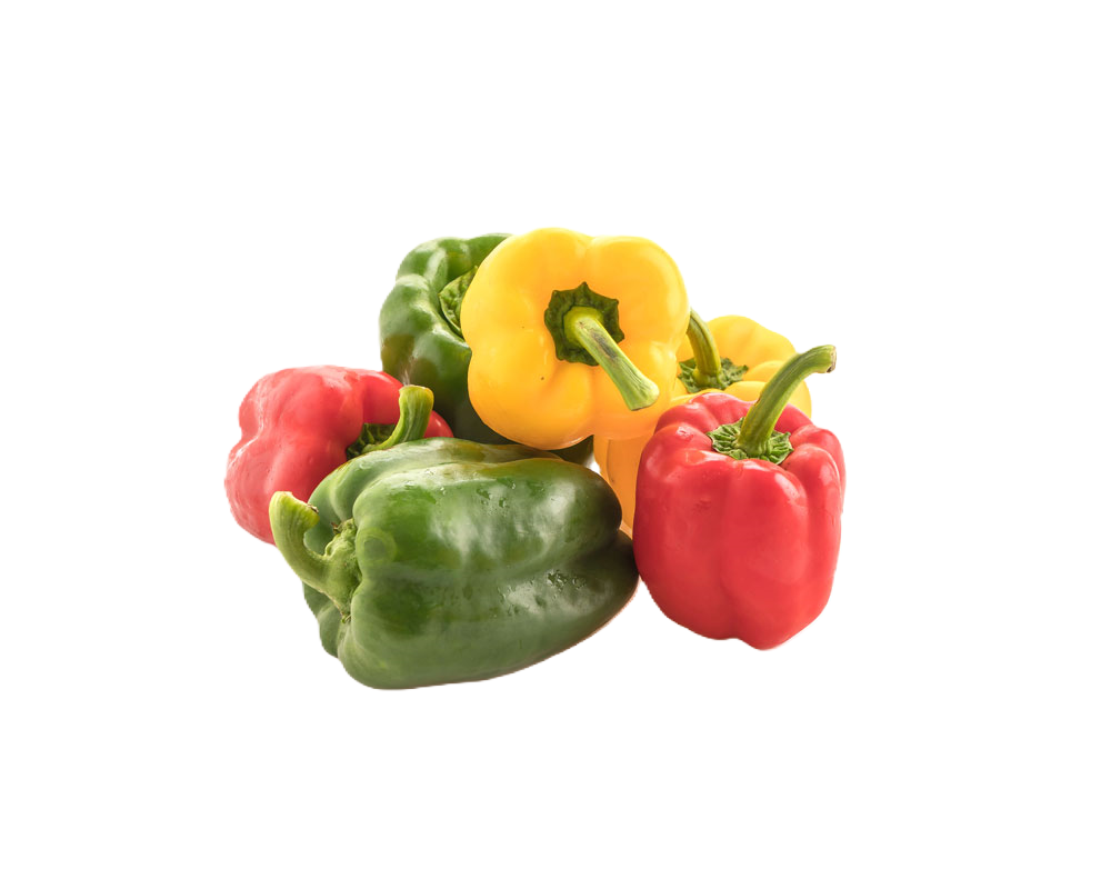 Bell Pepper – fresh export quality from Agronil