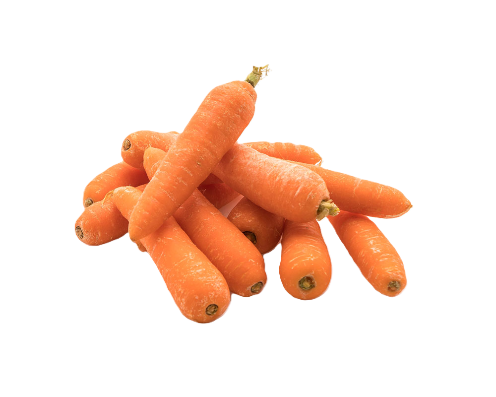 Carrots – fresh export quality from Agronil