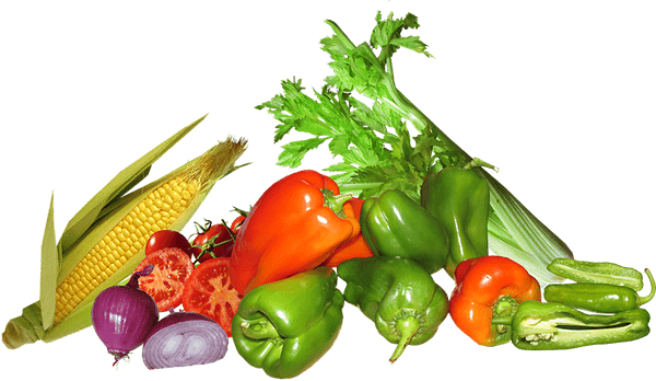 Agronil fresh produce selection – fruits and vegetables for export