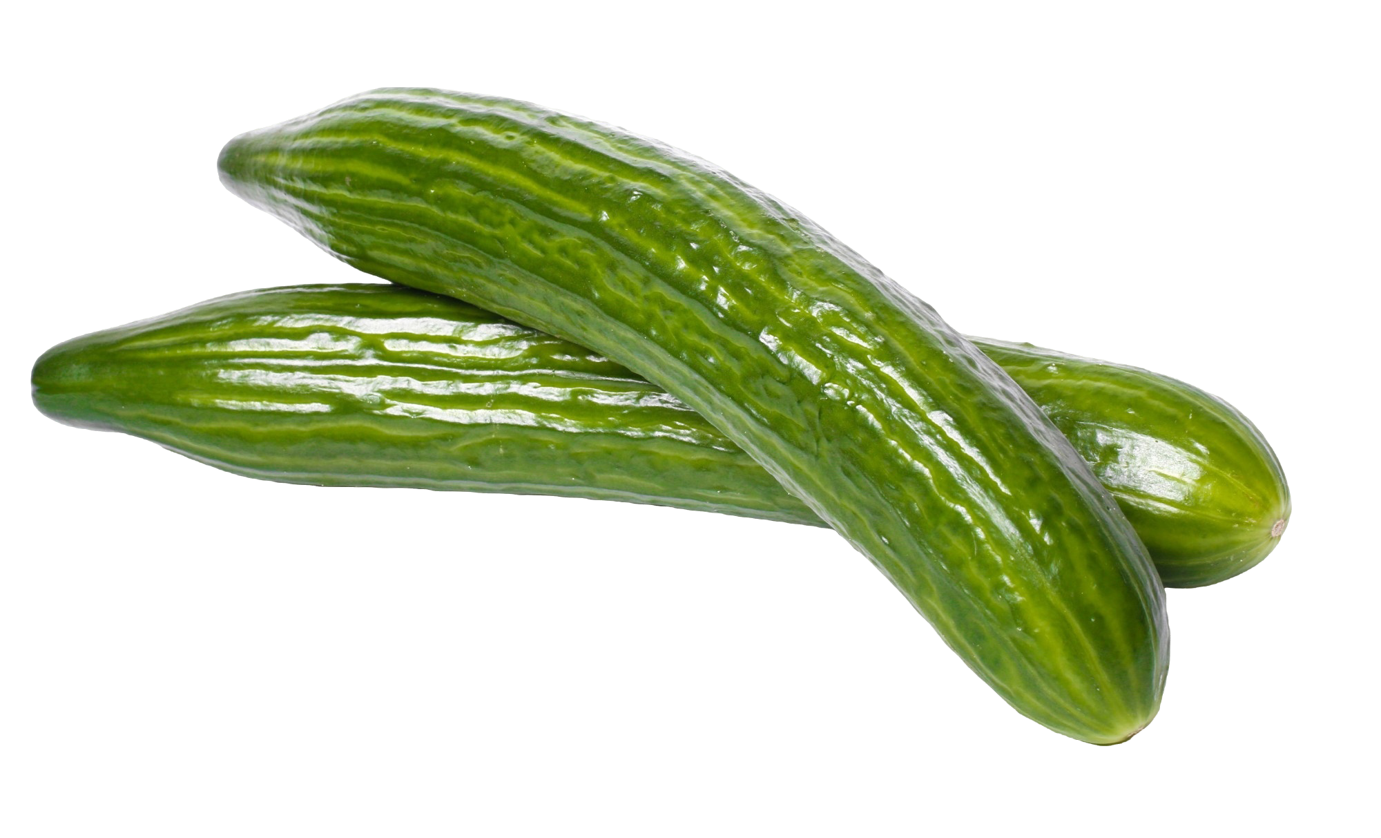 Cucumber – fresh export quality from Agronil