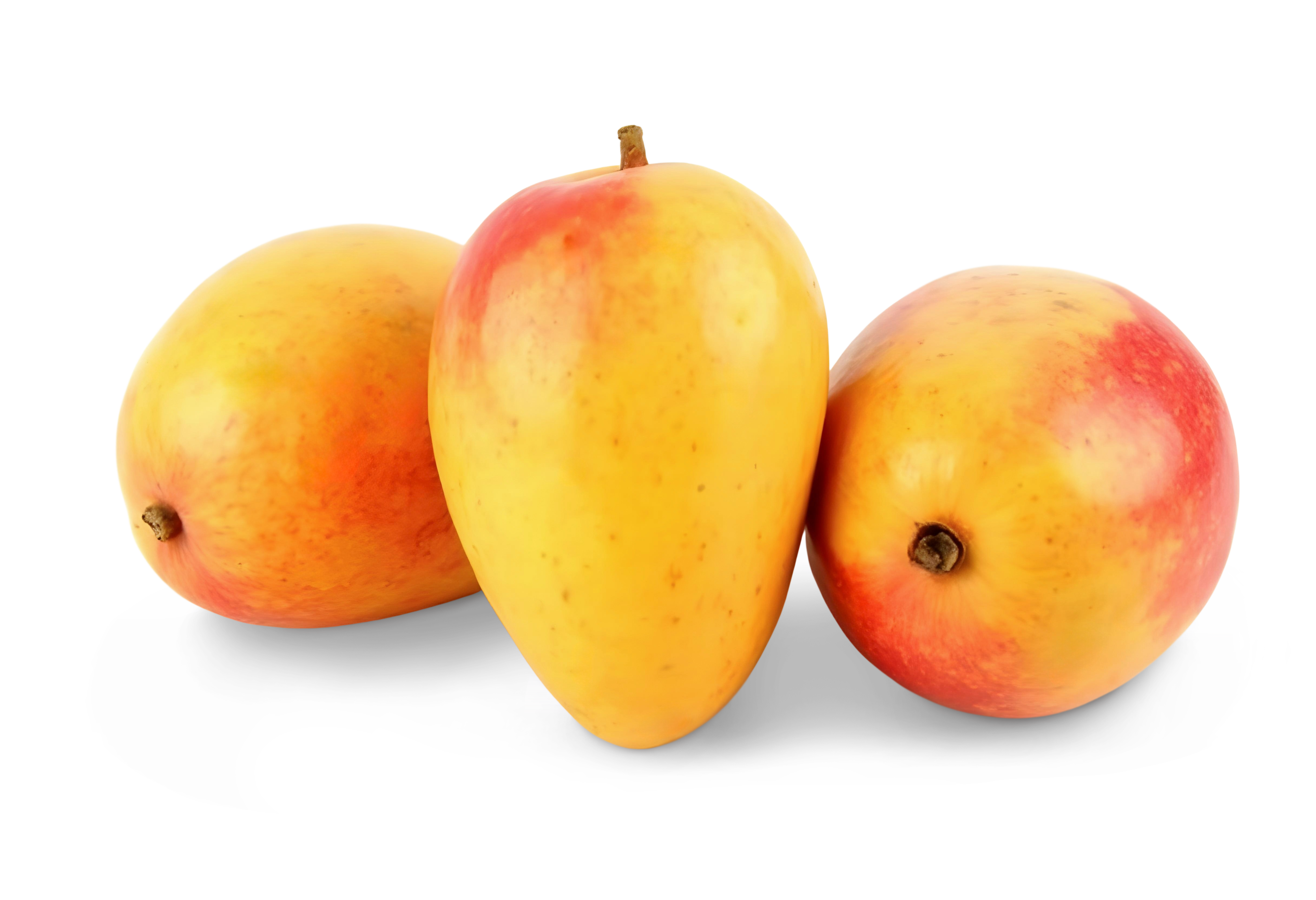 Mango – fresh export quality from Agronil