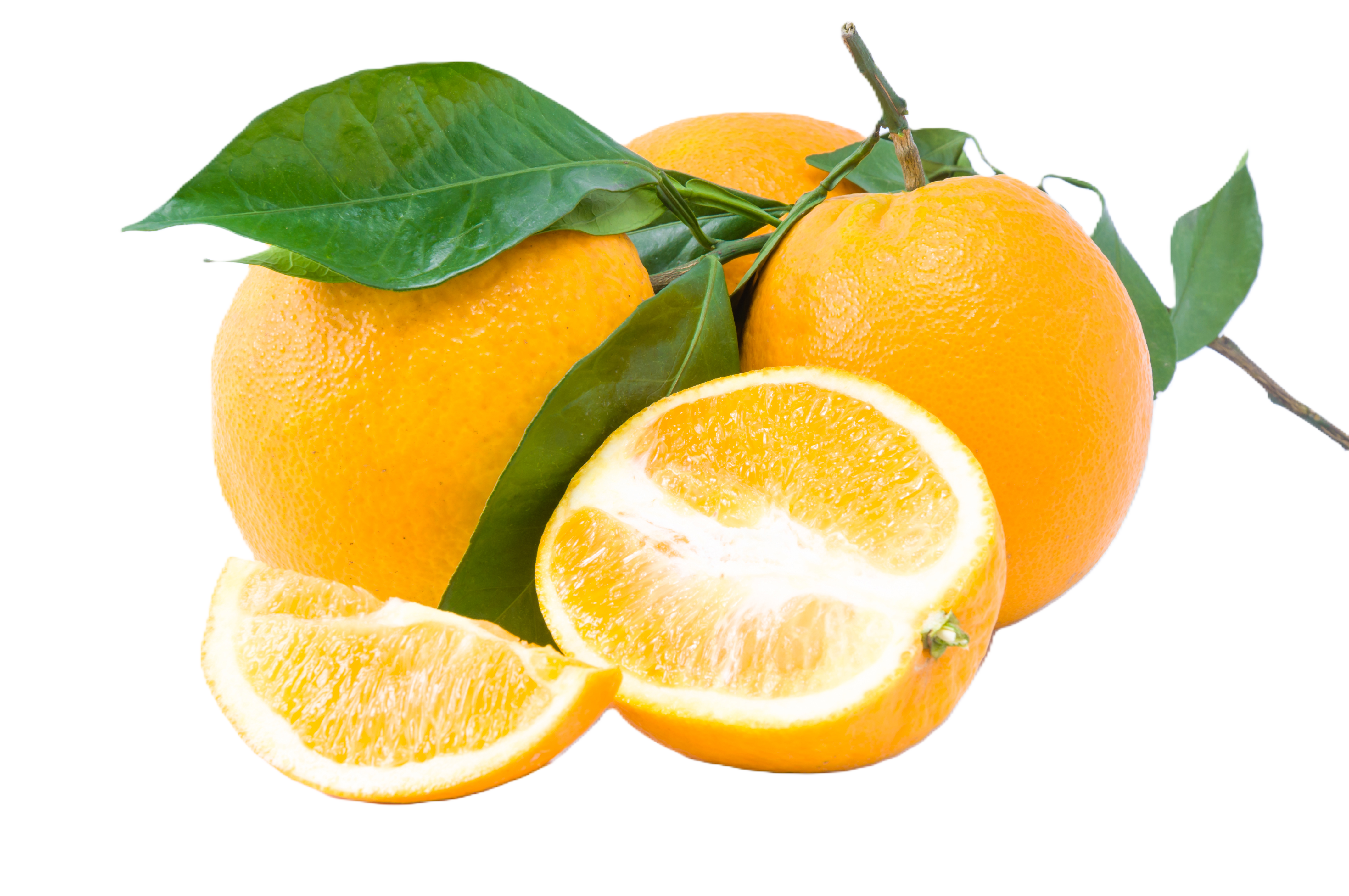 Orange – fresh export quality from Agronil