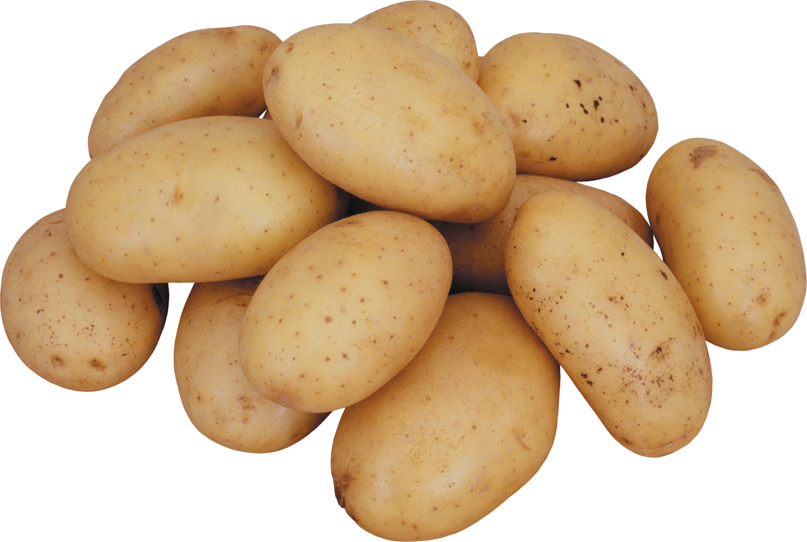 Potatoes – fresh export quality from Agronil