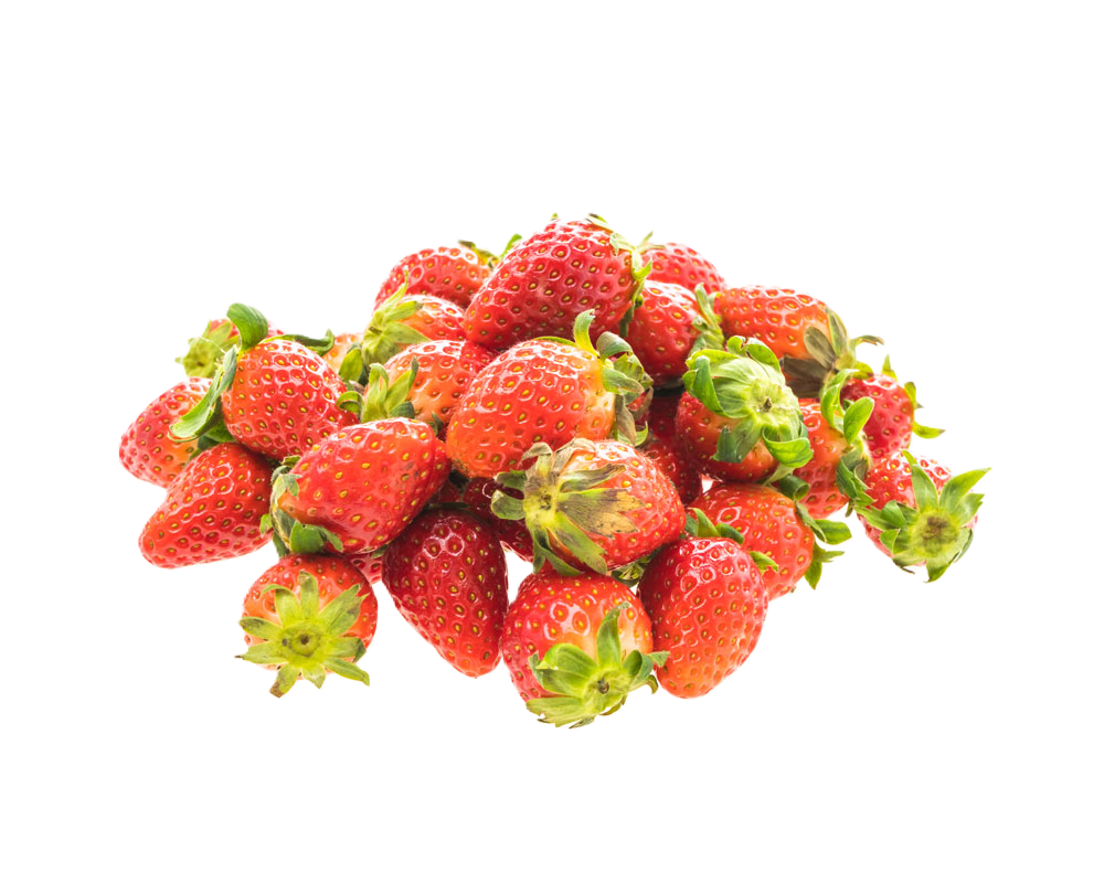 Strawberry – fresh export quality from Agronil