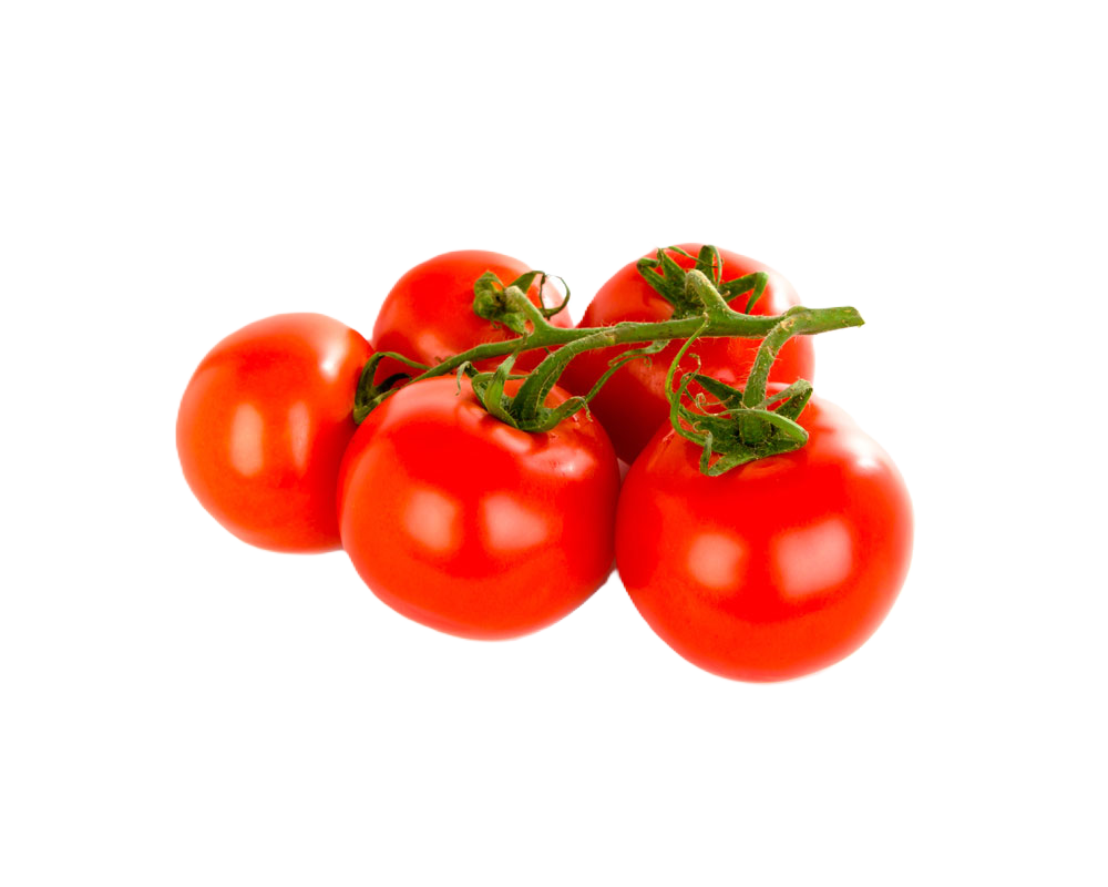 Tomatoes – fresh export quality from Agronil