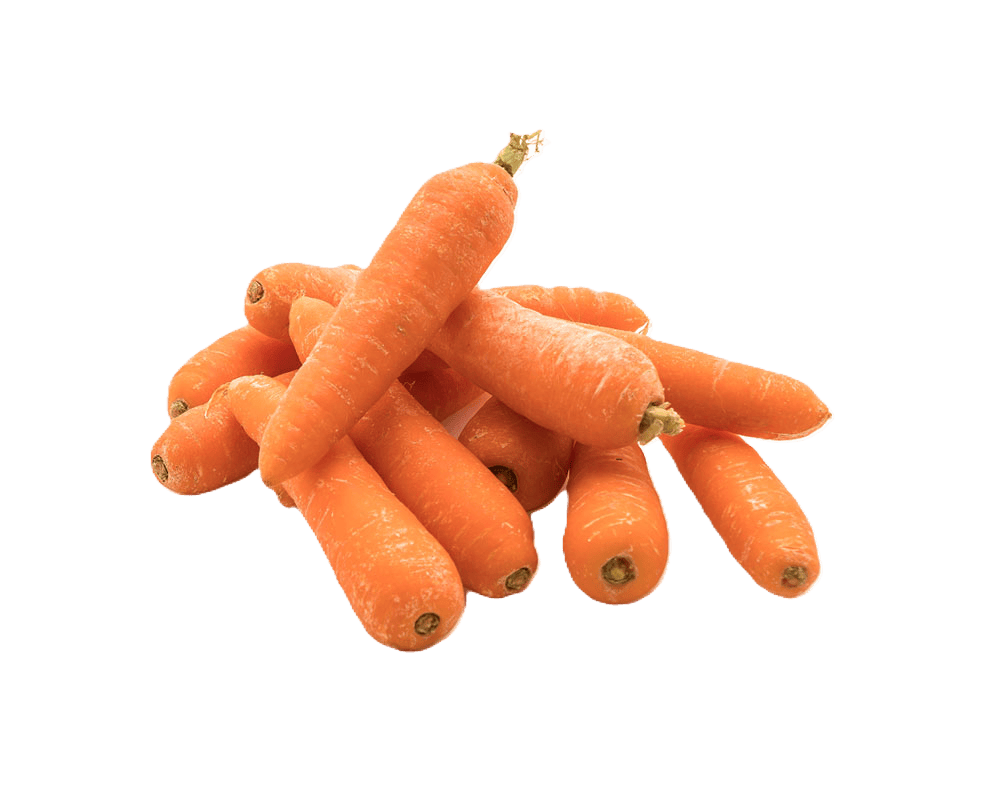 Carrots – fresh export quality from Agronil