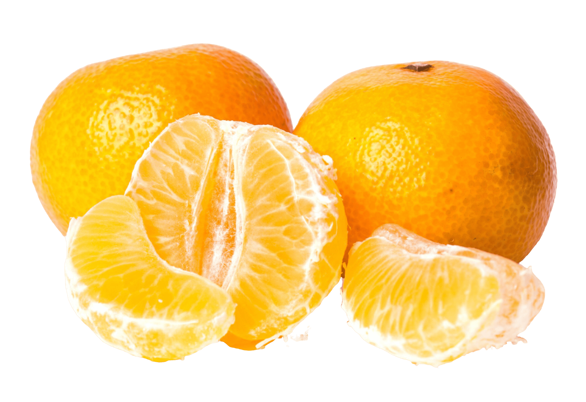 Mandarin – fresh export quality from Agronil
