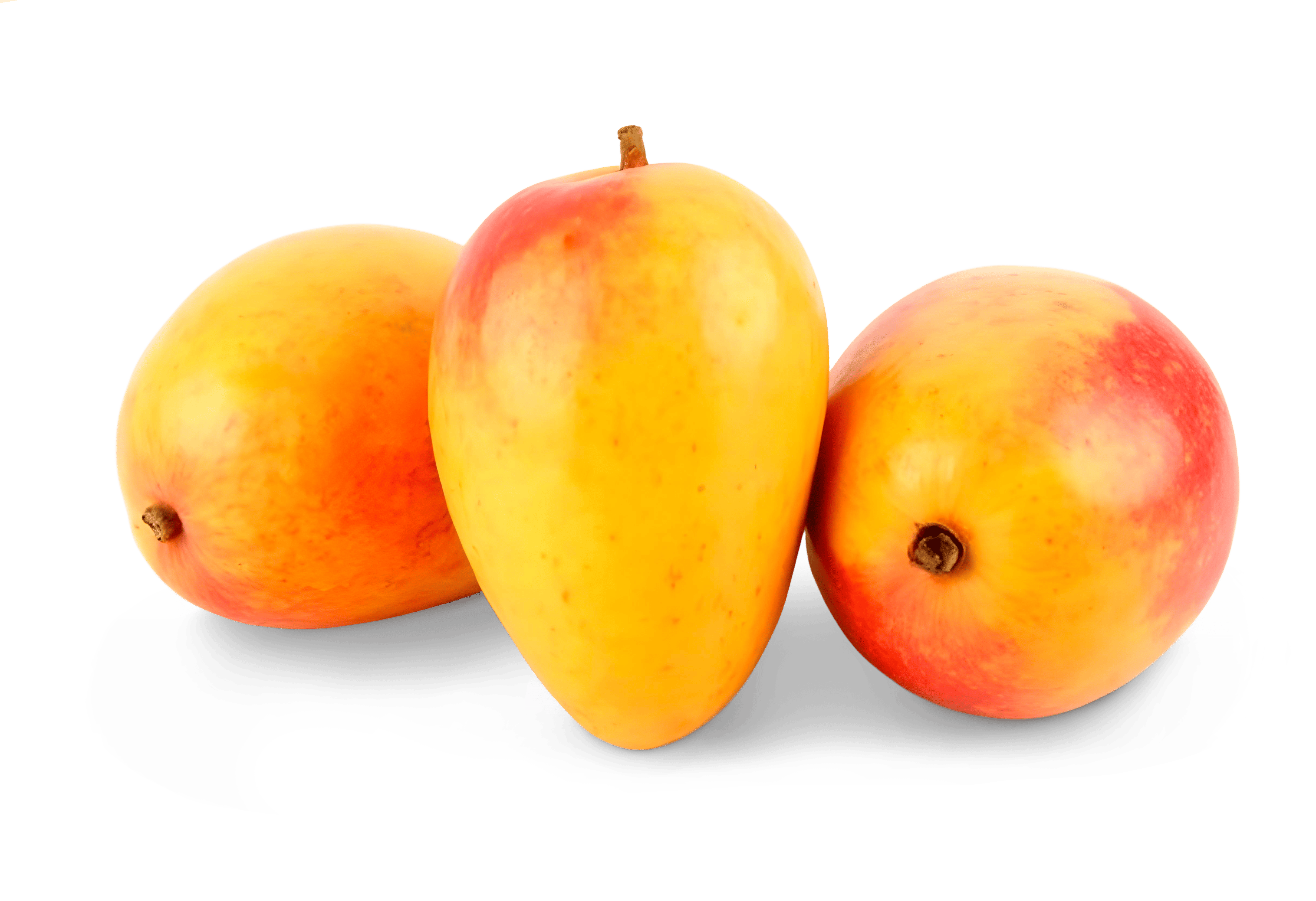Mango – fresh export quality from Agronil