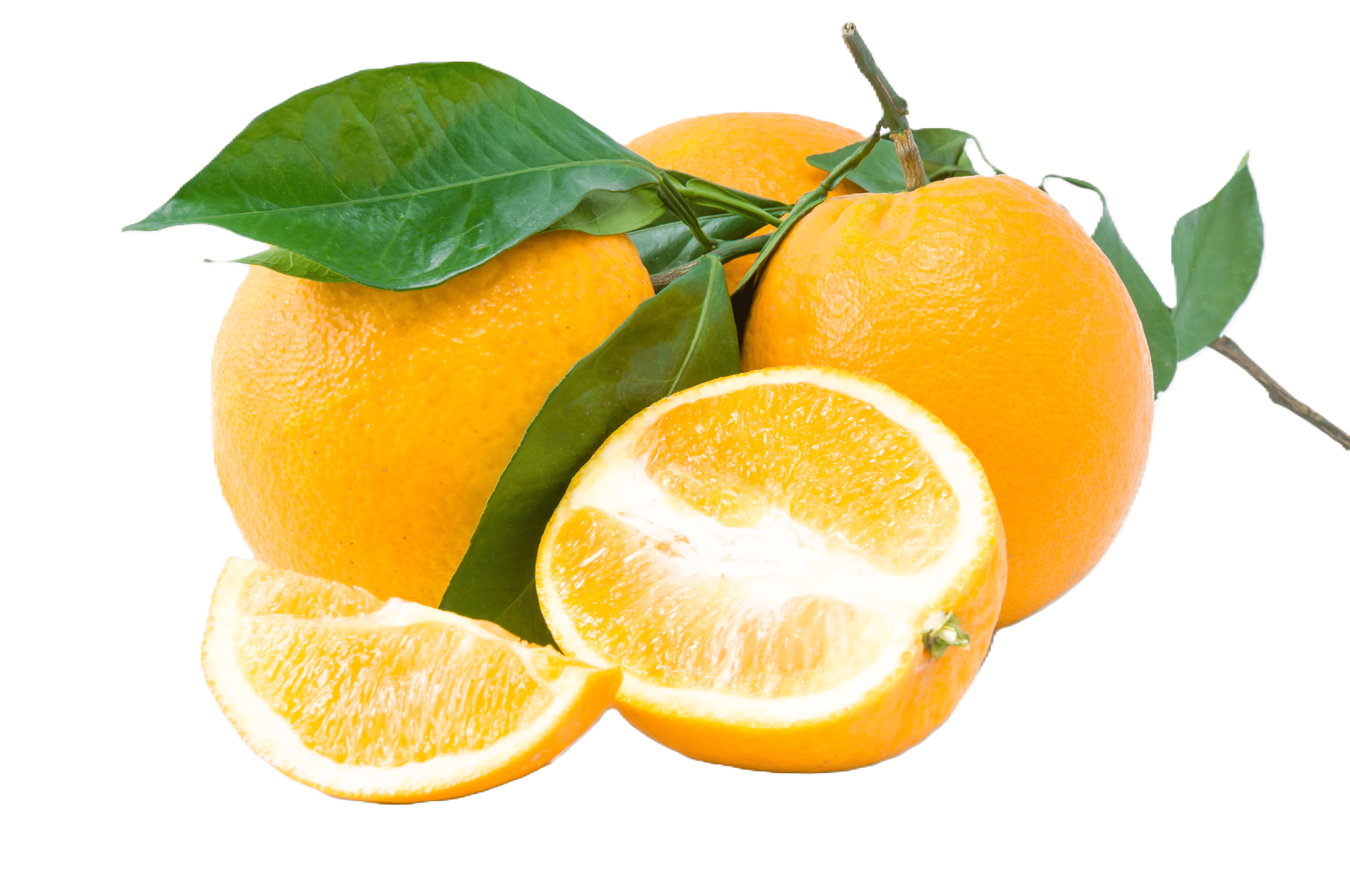 Orange – fresh export quality from Agronil