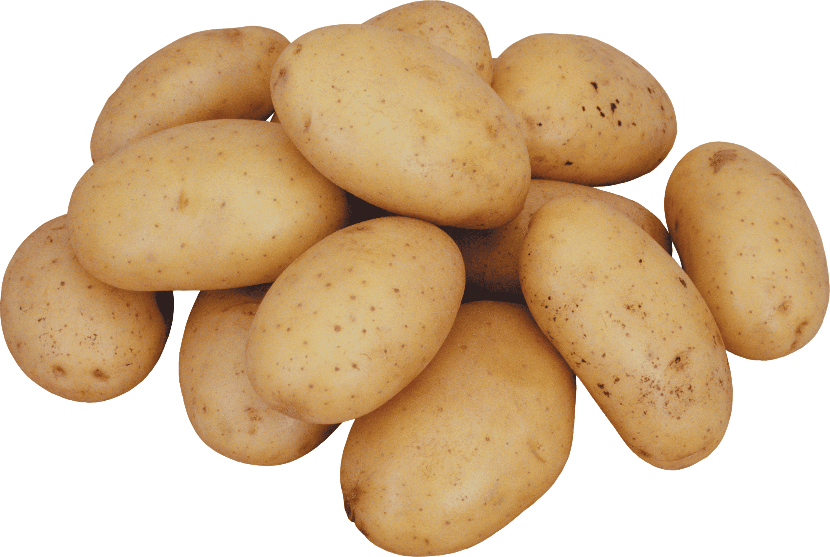 Potatoes – fresh export quality from Agronil