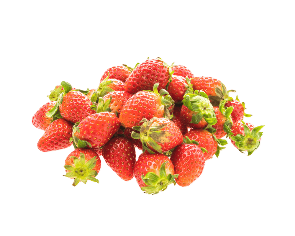 Strawberry – fresh export quality from Agronil